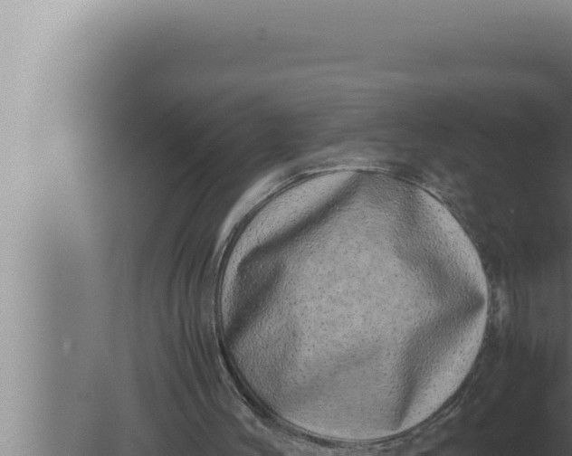 X0000080110004200612221817