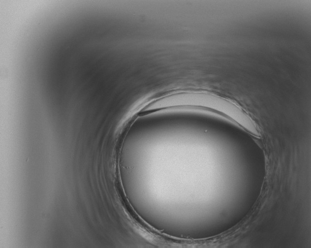 X0000080110005200612221817