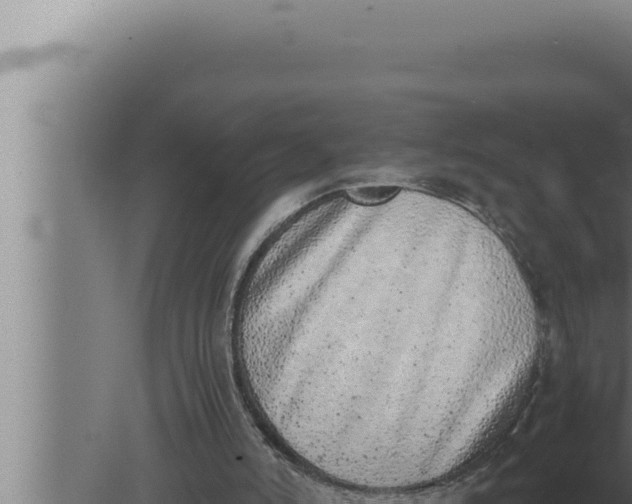 X0000080110006200612221817