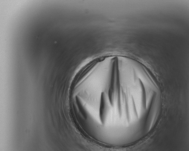 X0000080110008200612221817