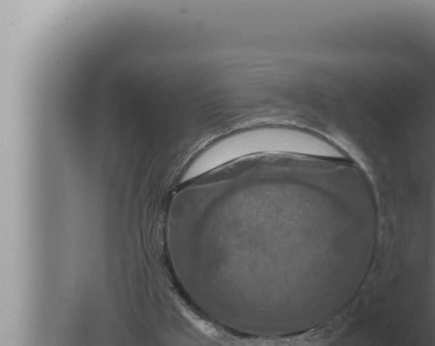 X0000080110009200612221817