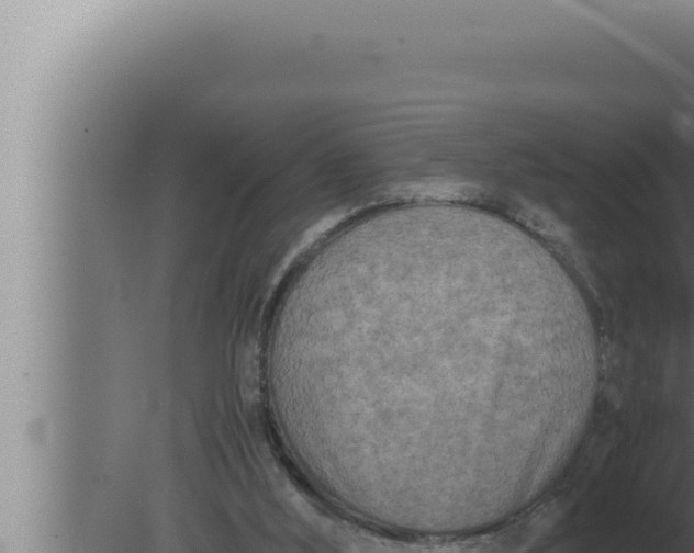 X0000080110012200612221816