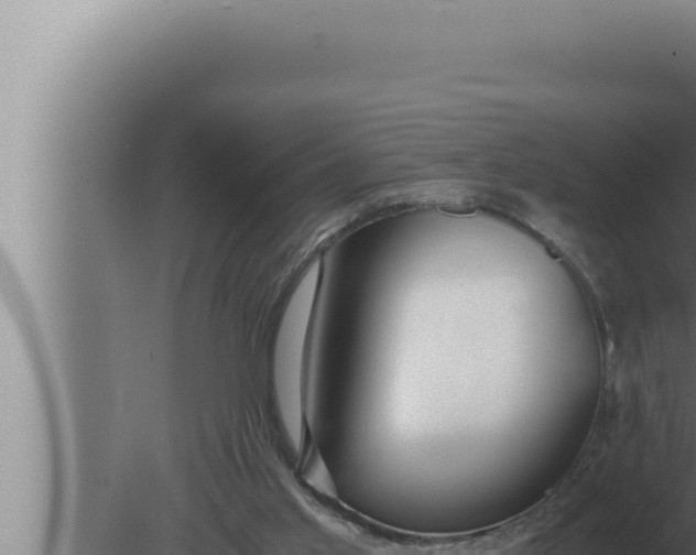 X0000080110013200612221816