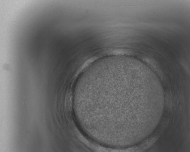 X0000080110016200612221816