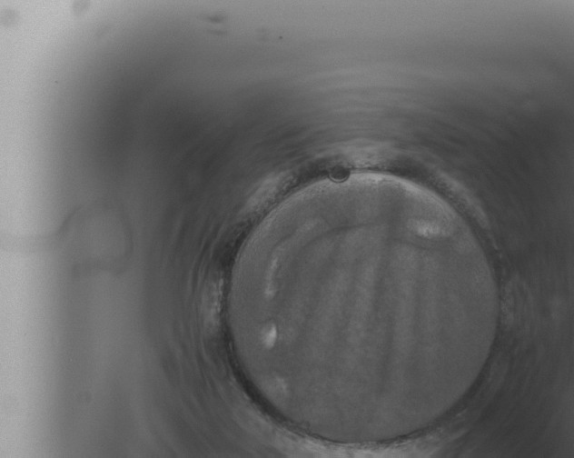 X0000080110018200612221816