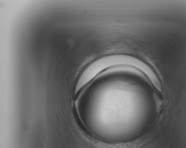 X0000080110019200612221816