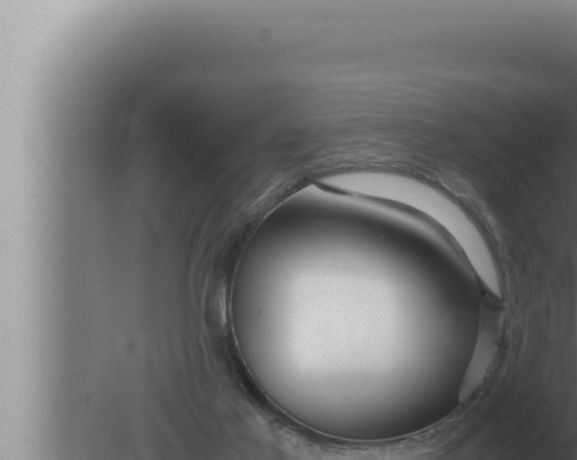 X0000080110021200612221816