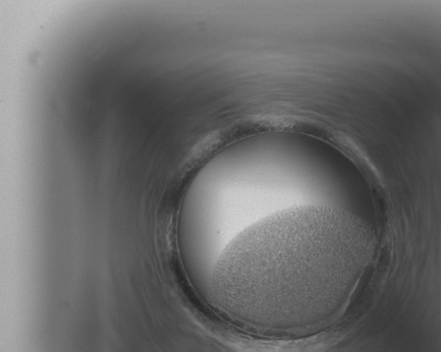 X0000080110023200612221816