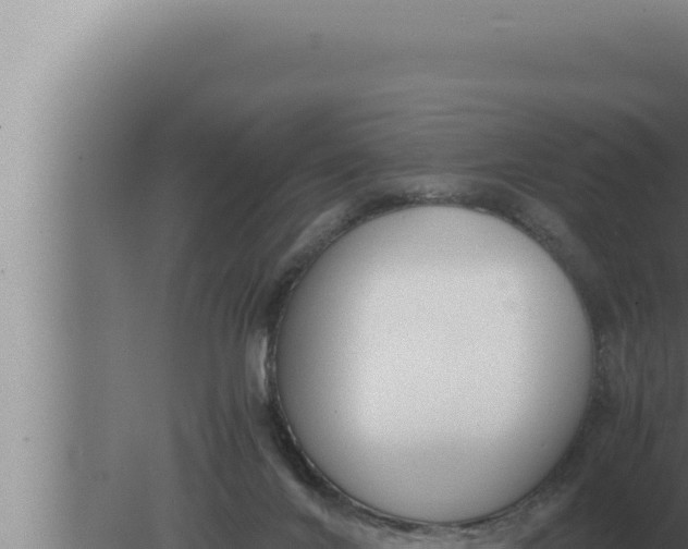 X0000080110024200612221816