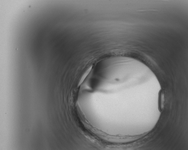 X0000080110025200612221816