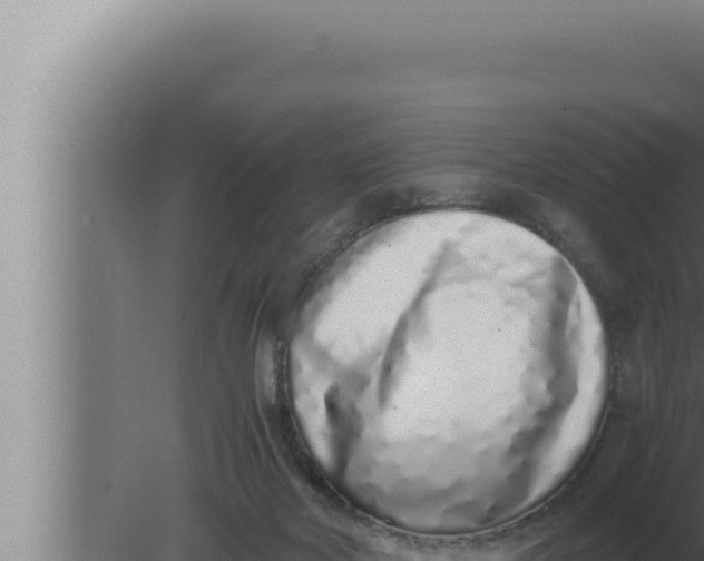 X0000080110026200612221816