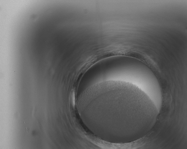 X0000080110027200612221816