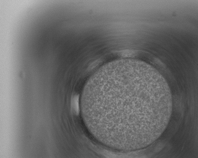 X0000080110028200612221816