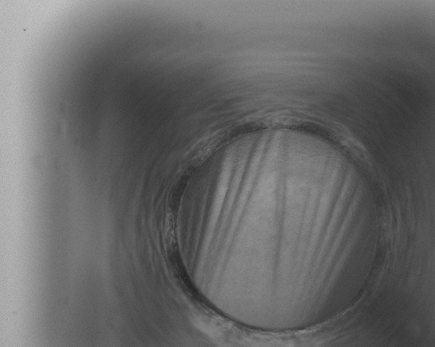 X0000080110029200612221816