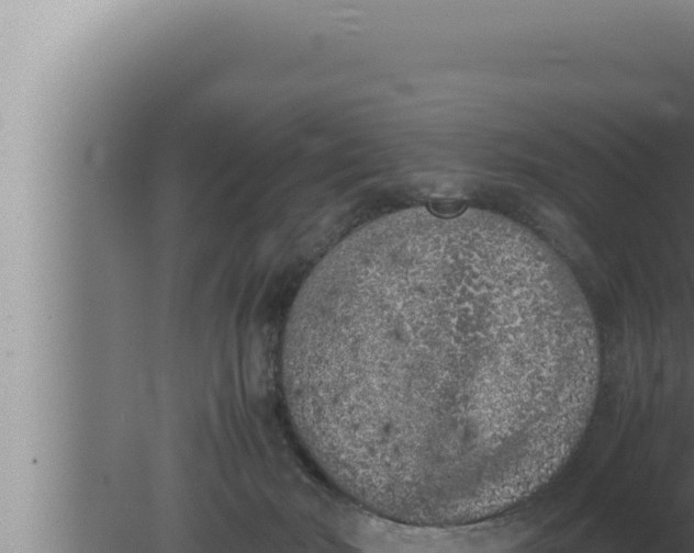 X0000080110030200612221816