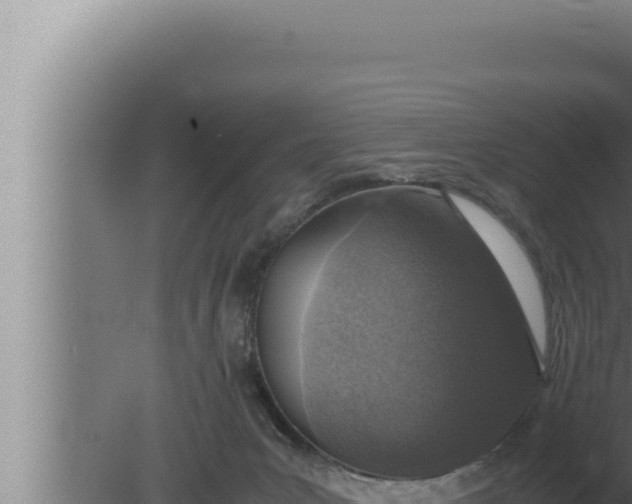 X0000080110031200612221816