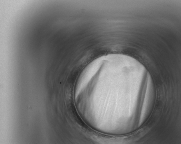 X0000080110032200612221816