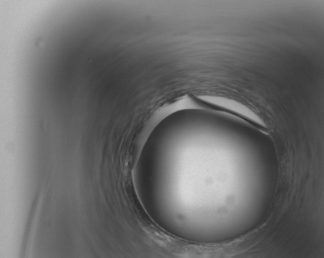 X0000080110033200612221816