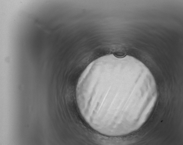 X0000080110034200612221816