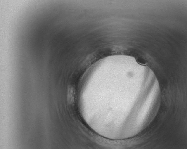 X0000080110038200612221816