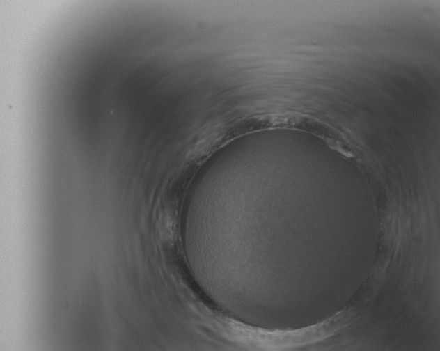 X0000080110039200612221816