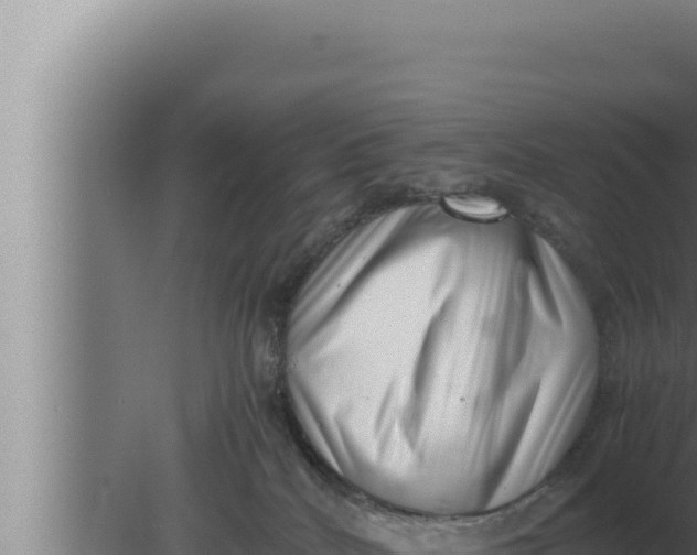 X0000080110040200612221816