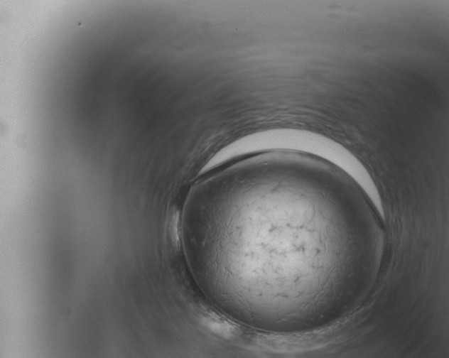 X0000080110041200612221816