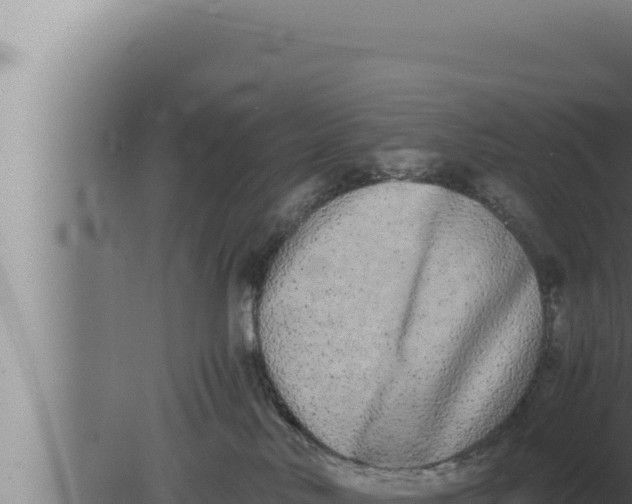 X0000080110042200612221816