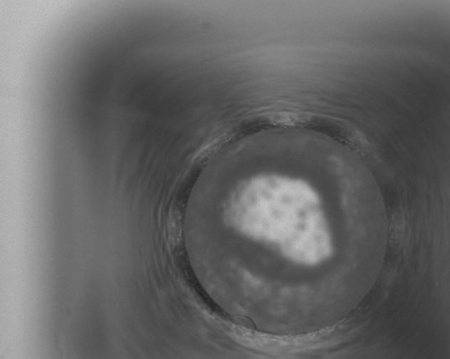 X0000080110043200612221816