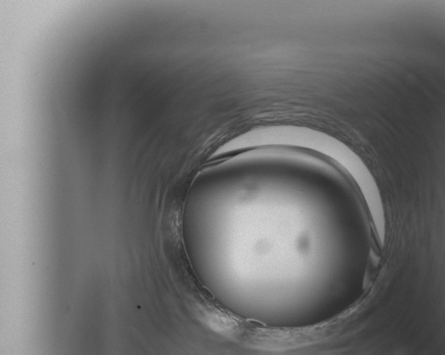 X0000080110045200612221816