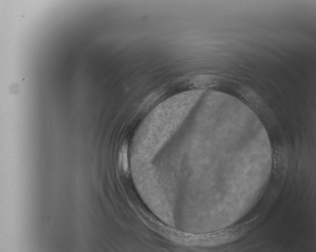 X0000080110046200612221816