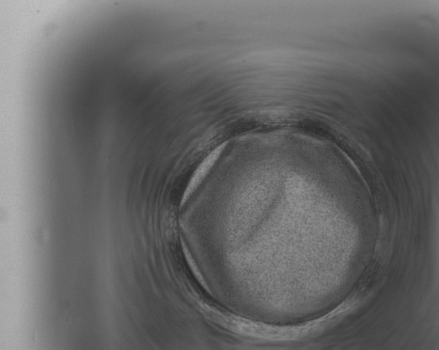 X0000080110048200612221816