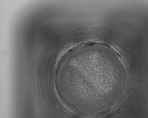 X0000080110049200612221815