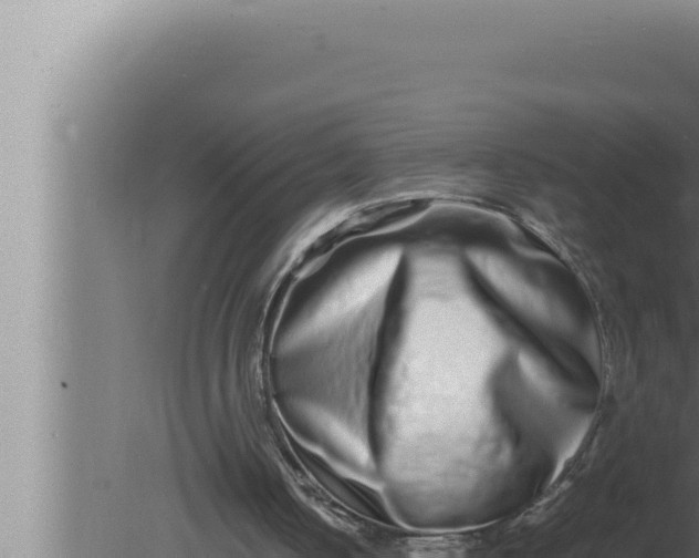 X0000080110050200612221815