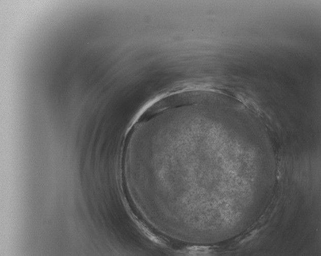 X0000080110052200612221815