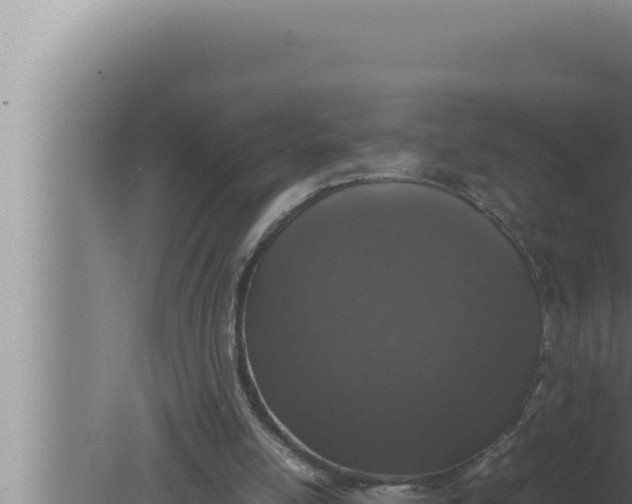 X0000080110054200612221815