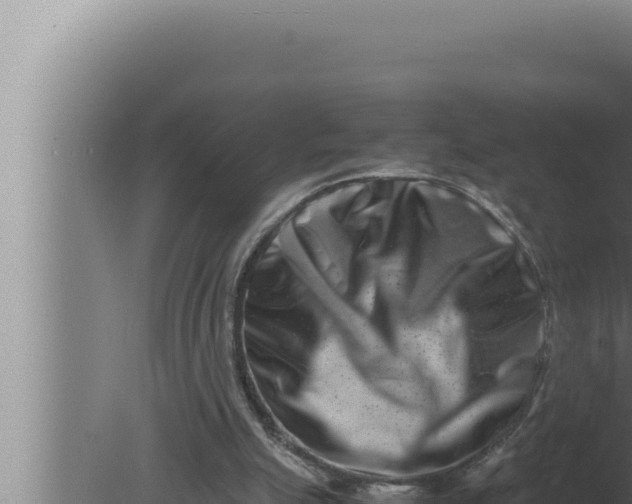 X0000080110055200612221815