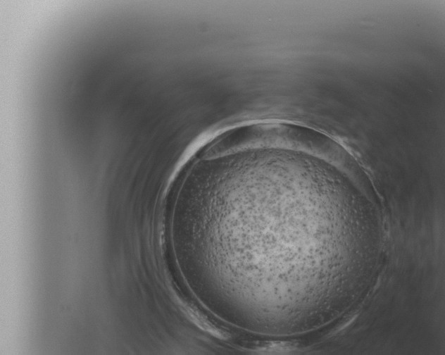 X0000080110056200612221815