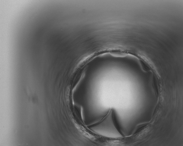 X0000080110058200612221815