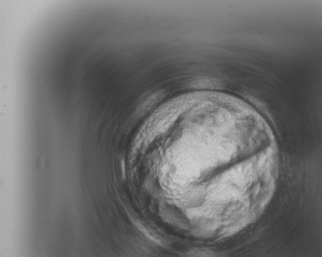 X0000080110061200612221815