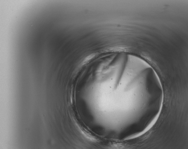 X0000080110062200612221815