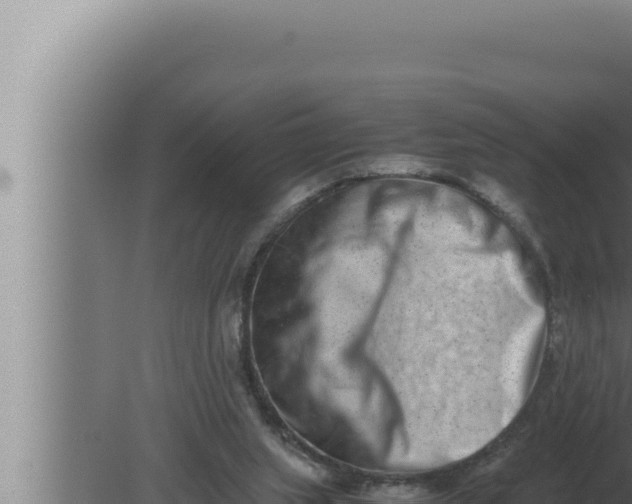 X0000080110063200612221815