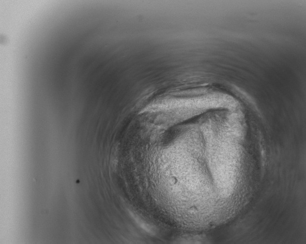 X0000080110065200612221815