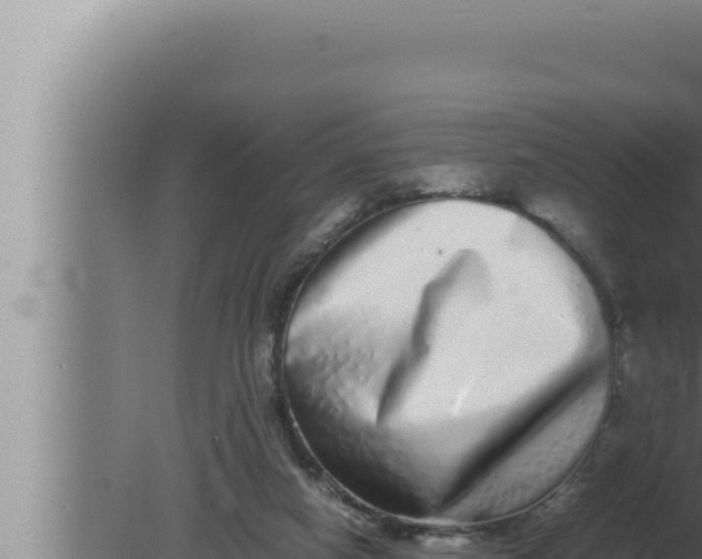 X0000080110066200612221815