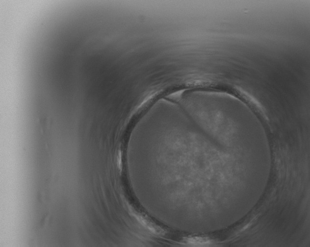 X0000080110067200612221815