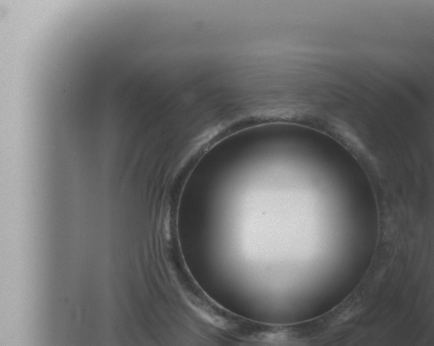 X0000080110068200612221815