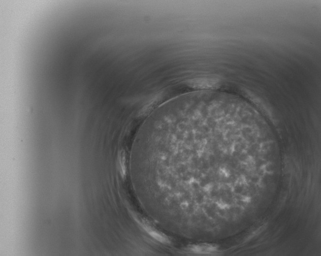 X0000080110069200612221815