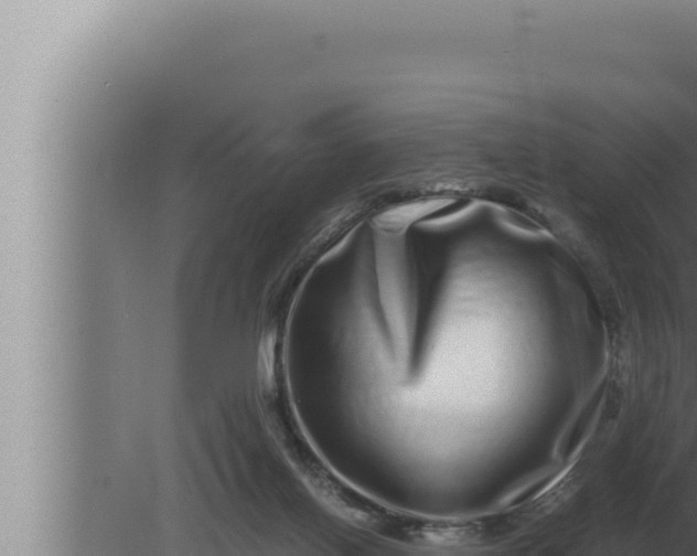 X0000080110070200612221815