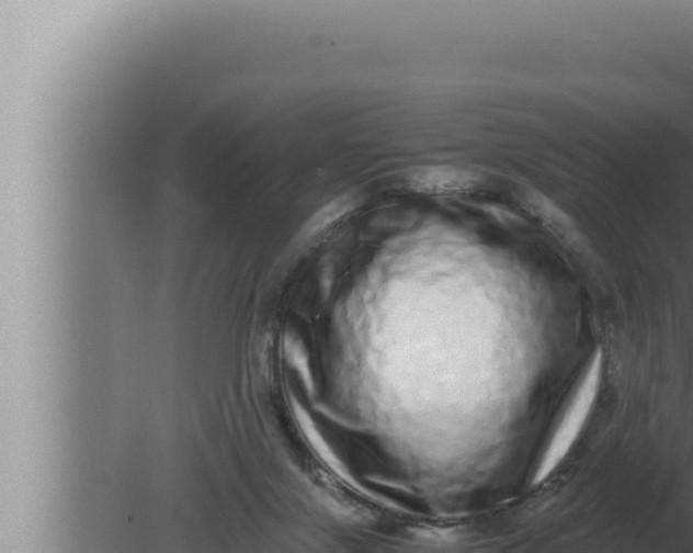 X0000080110071200612221815