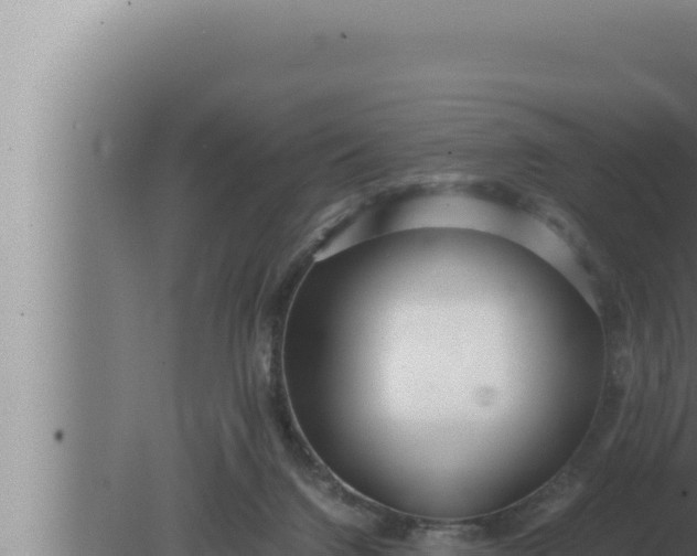 X0000080110072200612221815